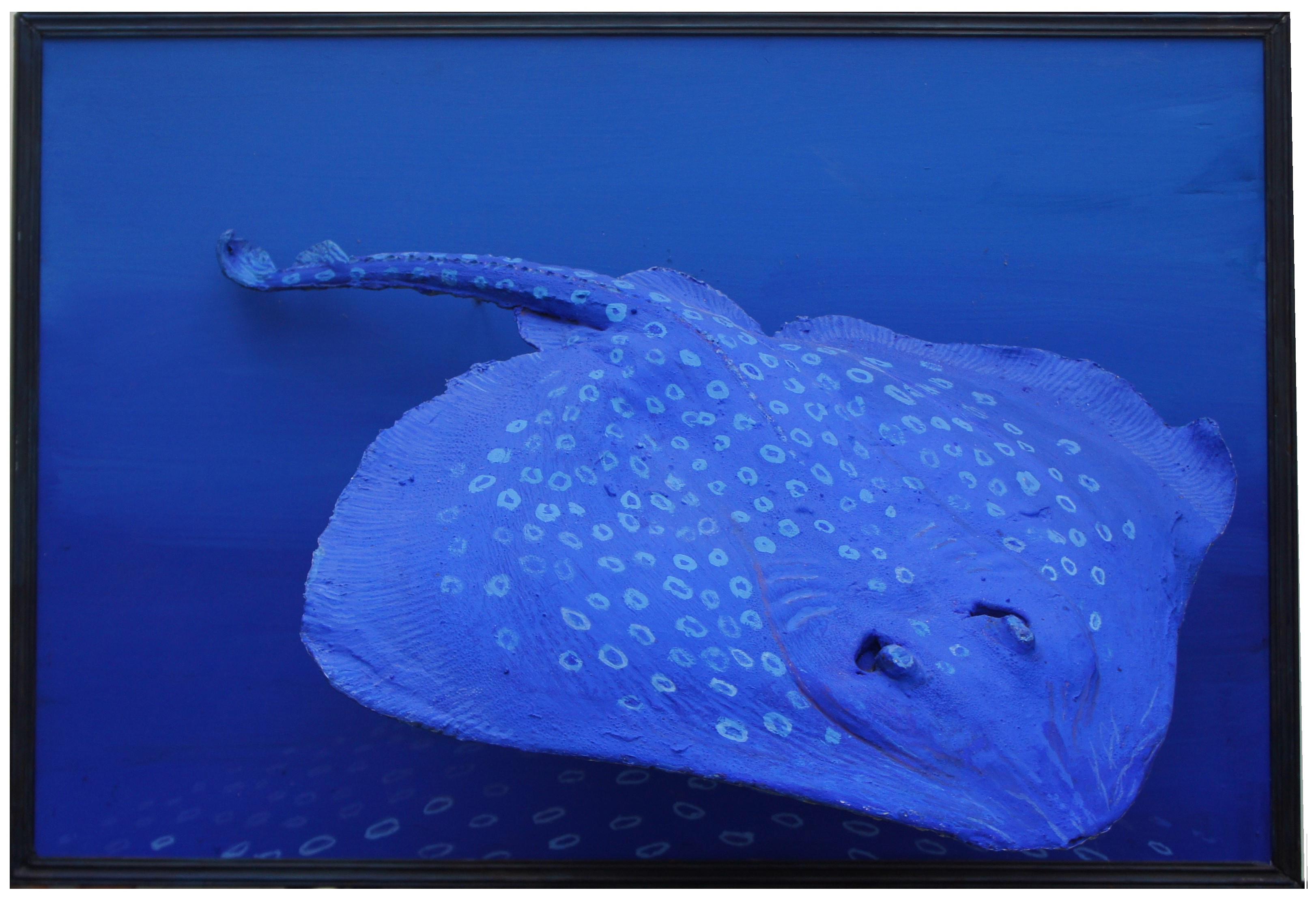 out of the blue